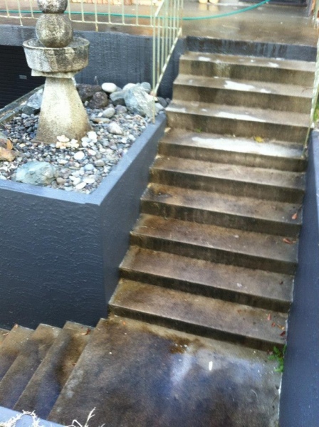 Chemical Cleaning Steps